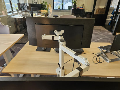 Monitor arm Focus - Filex