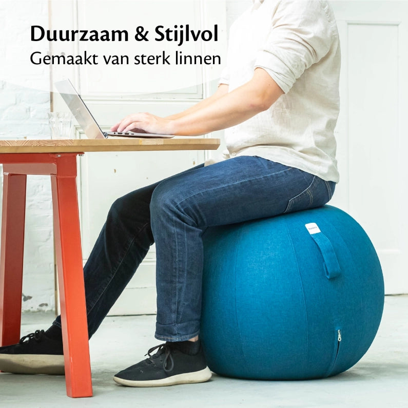 Ergonomische Zitbal Kantoor