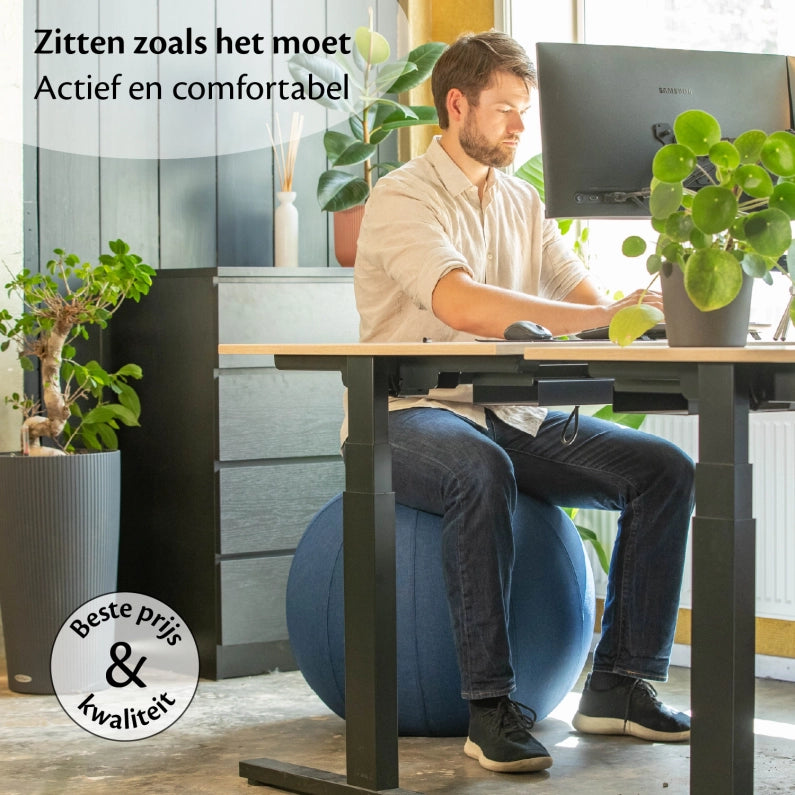 Ergonomische Zitbal Kantoor