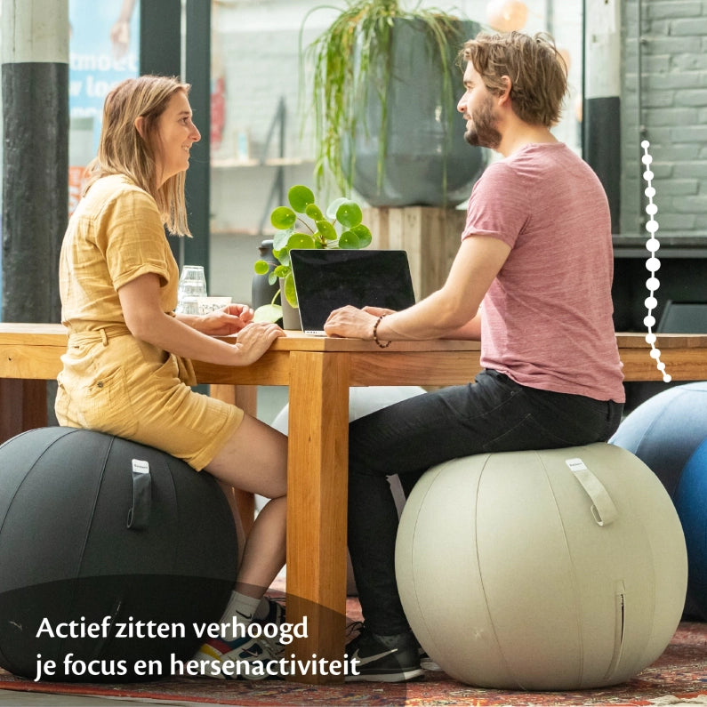 Ergonomische Zitbal Kantoor