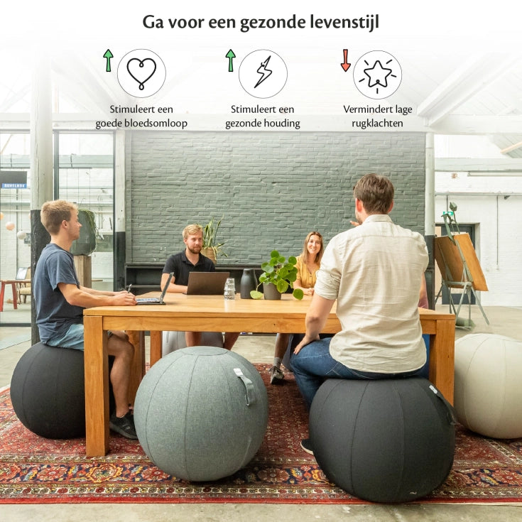 Ergonomische Zitbal Kantoor