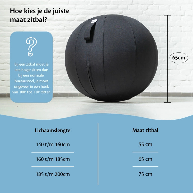 Ergonomische Zitbal Kantoor