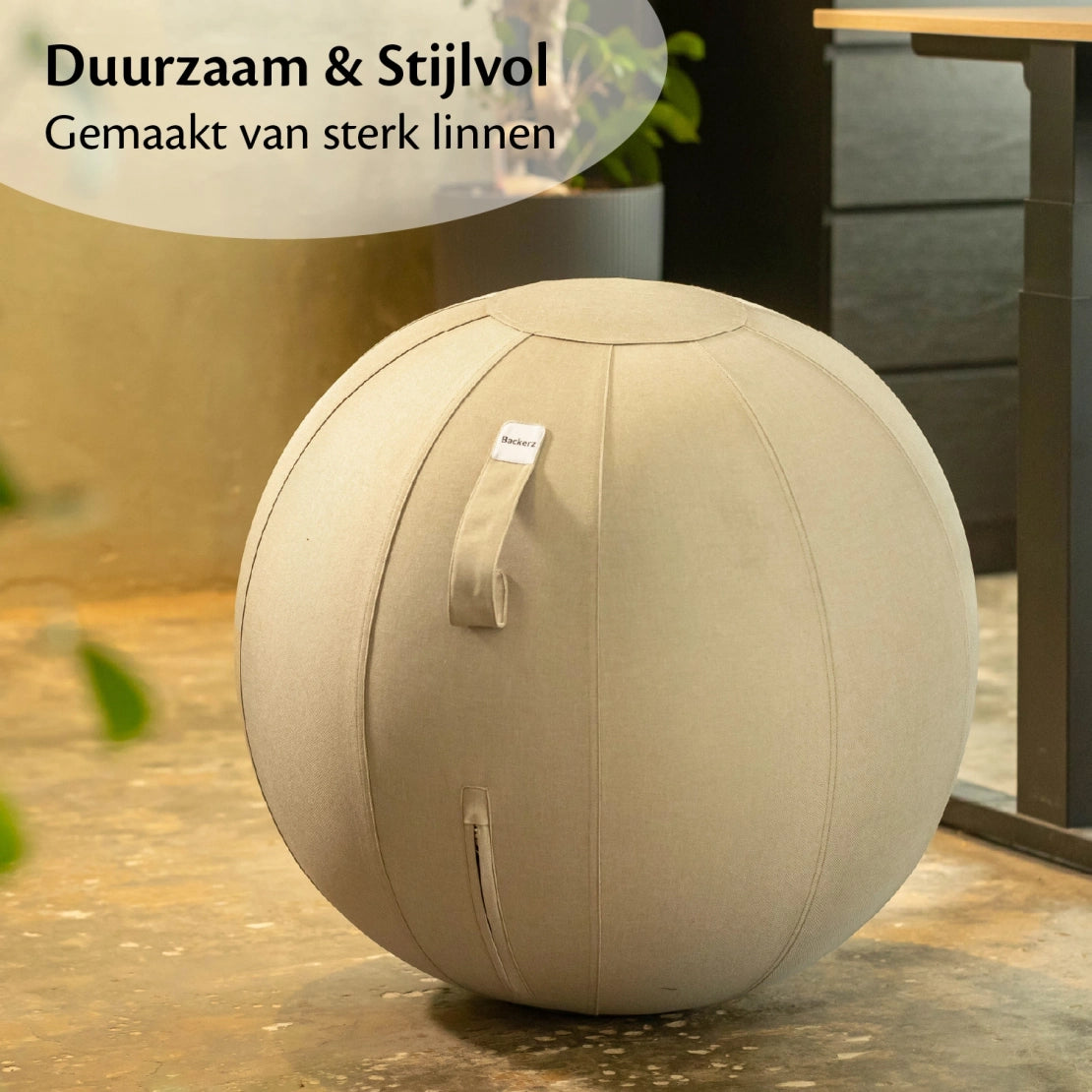 Ergonomische Zitbal Kantoor