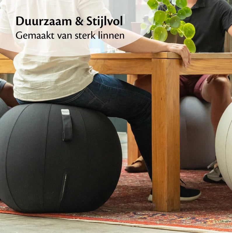 Ergonomische Zitbal Kantoor