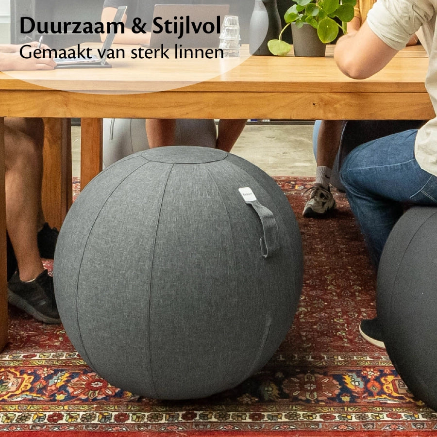 Ergonomische Zitbal Kantoor