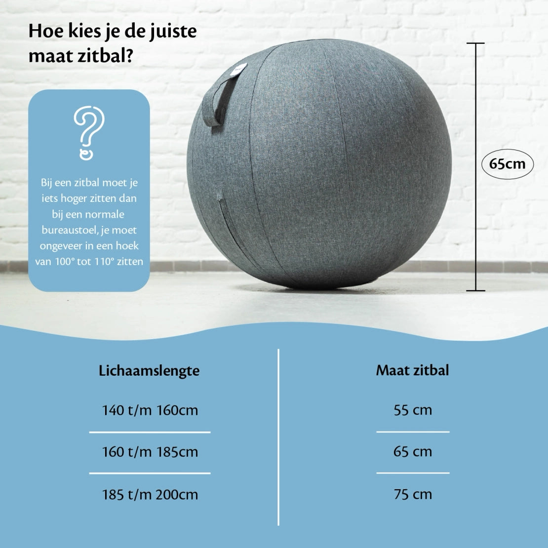 Ergonomische Zitbal Kantoor