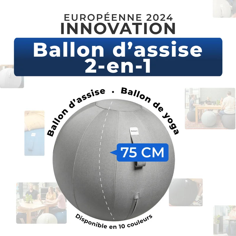 Ergonomische Zitbal Kantoor