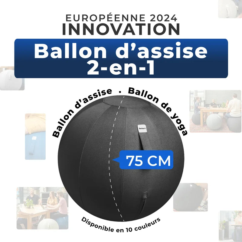 Ergonomische Zitbal Kantoor