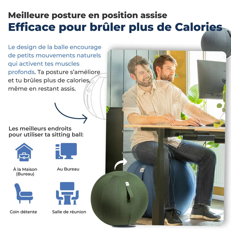 Ergonomische Zitbal Kantoor