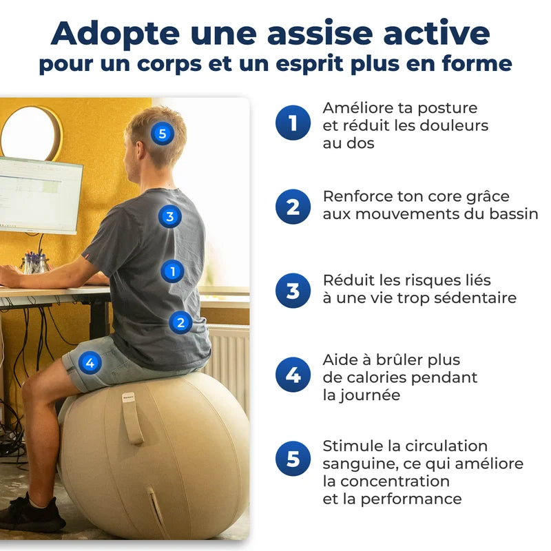 Ergonomische Zitbal Kantoor