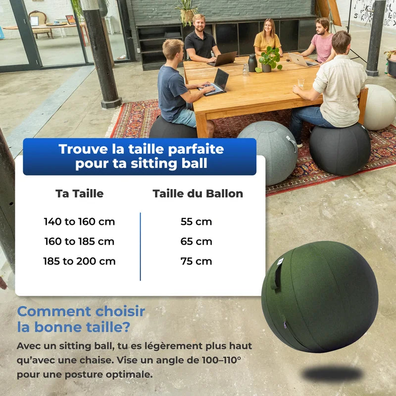 Ergonomische Zitbal Kantoor