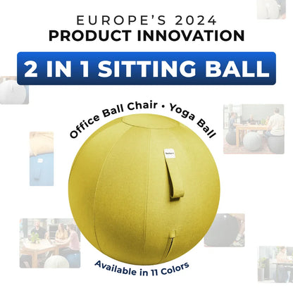 Ergonomic Sitting Ball Office