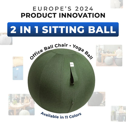 Ergonomic Sitting Ball Office