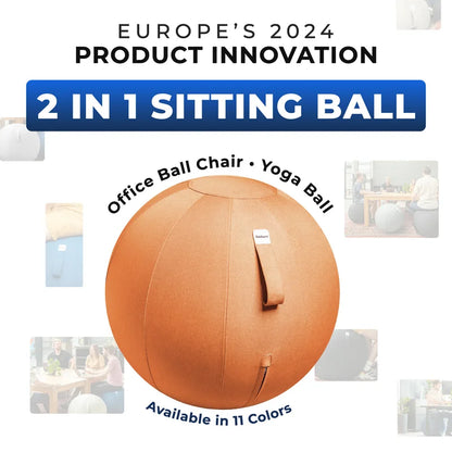 Ergonomic Sitting Ball Office