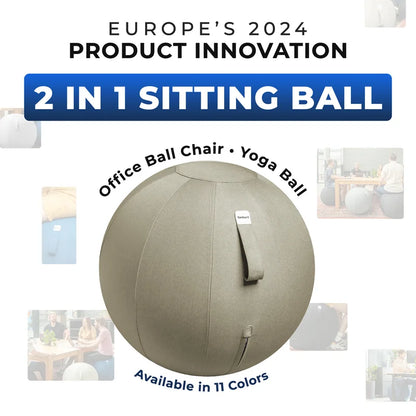 Ergonomic Sitting Ball Office