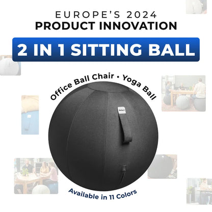 Ergonomic Sitting Ball Office