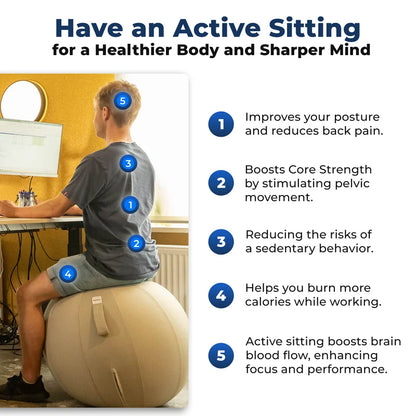 Ergonomic Sitting Ball Office
