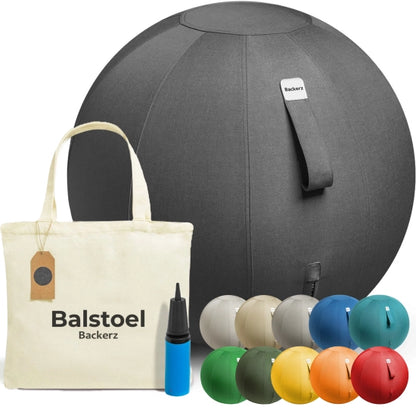 Ergonomische Zitbal Kantoor