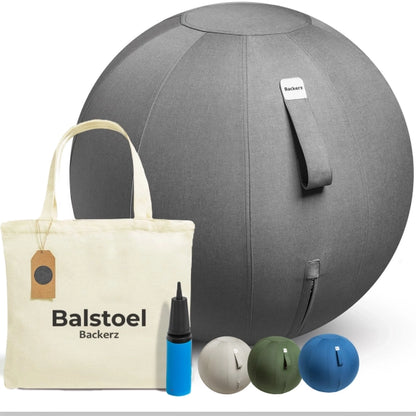 Ergonomische Zitbal Kantoor