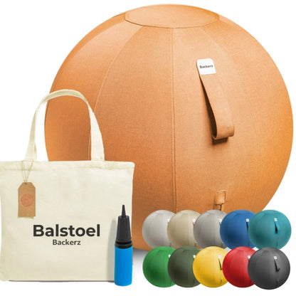 Ergonomische Zitbal Kantoor