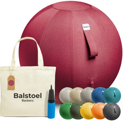 Ergonomische Zitbal Kantoor