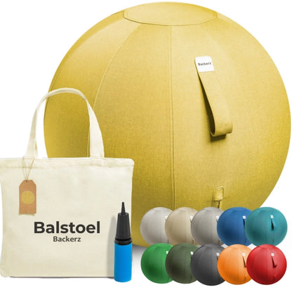 Ergonomische Zitbal Kantoor