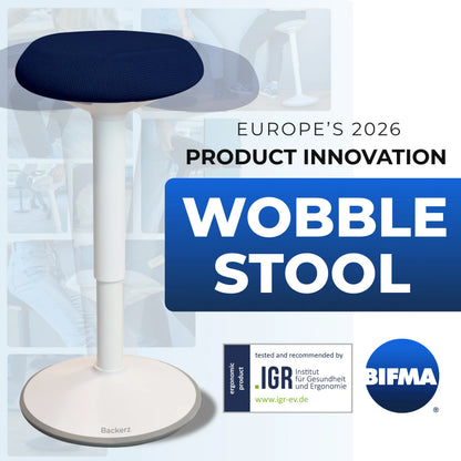 Ergonomic Wobble Stool Office