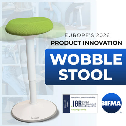 Ergonomic Wobble Stool Office