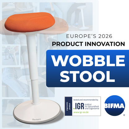 Ergonomic Wobble Stool Office