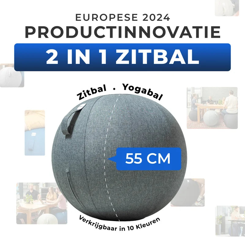 Ergonomische Zitbal Kantoor