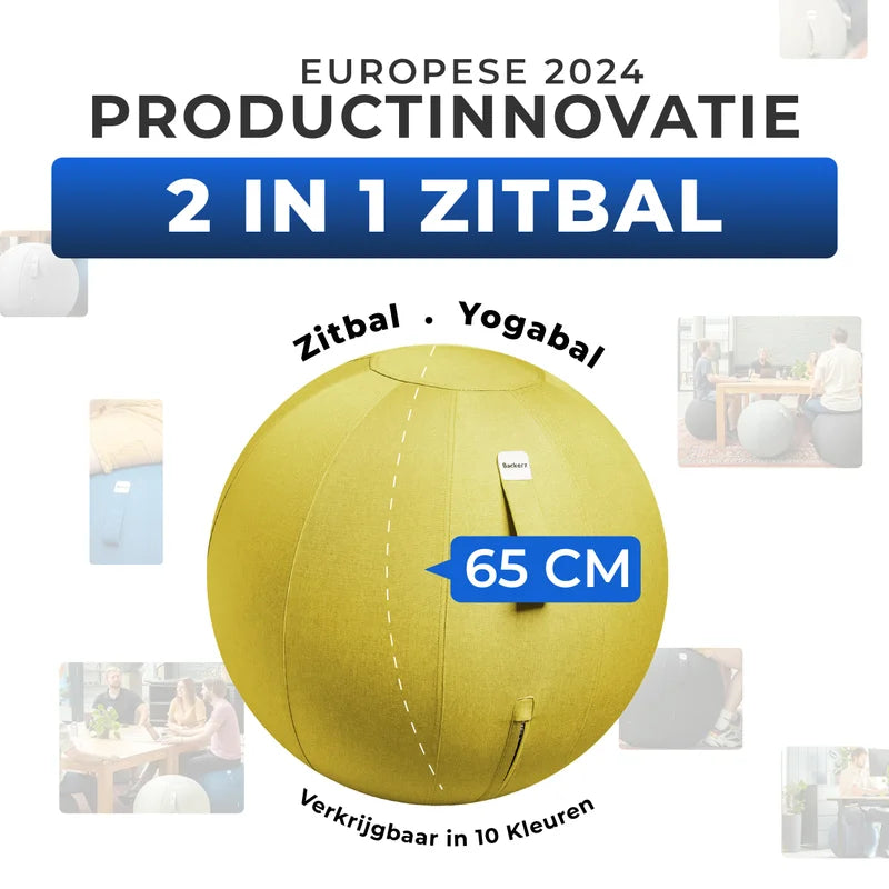 Ergonomische Zitbal Kantoor