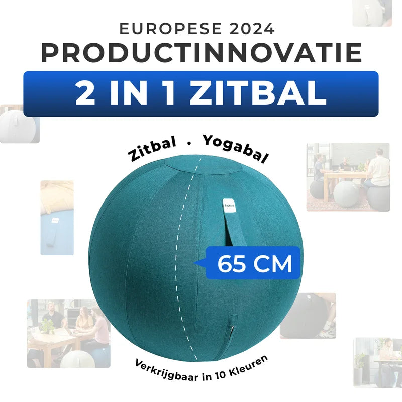 Ergonomische Zitbal Kantoor