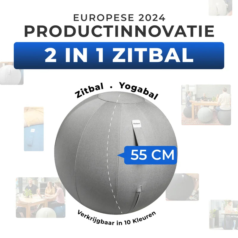 Ergonomische Zitbal Kantoor