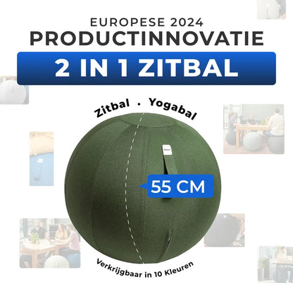 Ergonomische Zitbal Kantoor