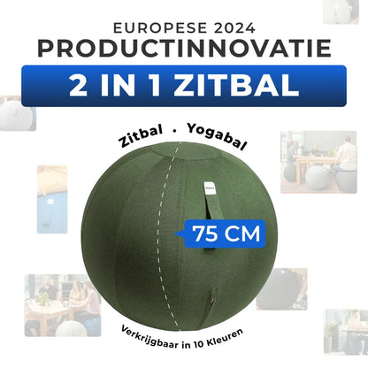 Ergonomische Zitbal Kantoor