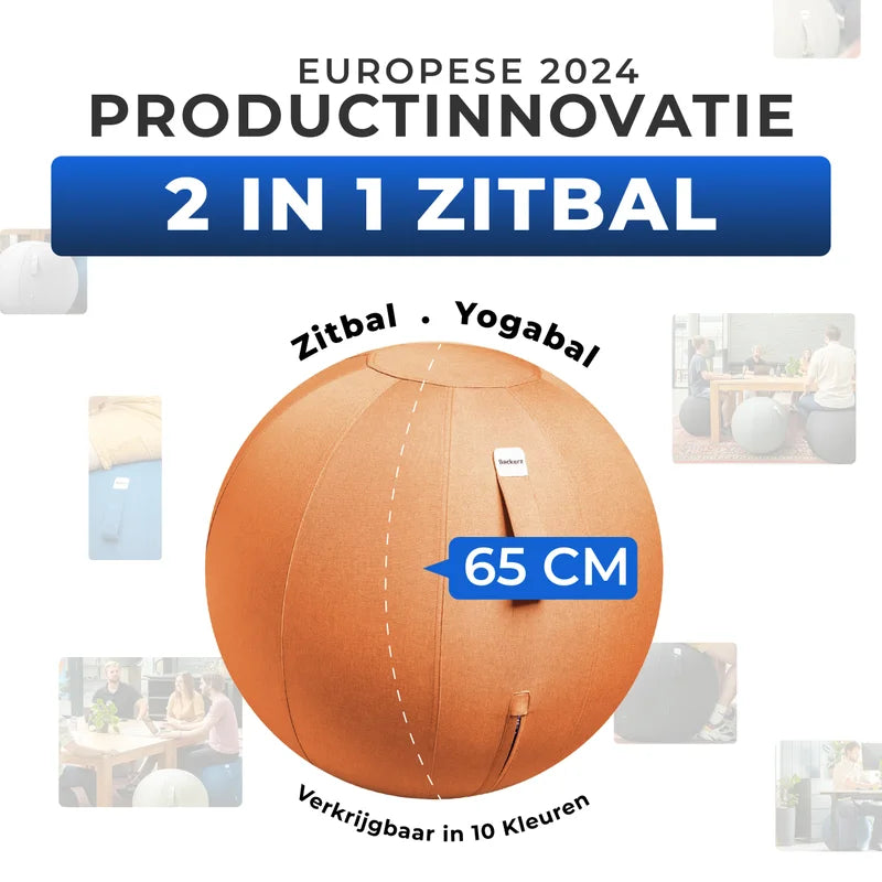 Ergonomische Zitbal Kantoor