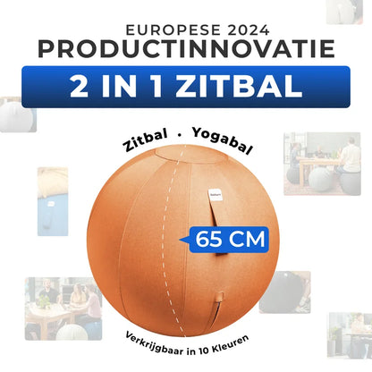 Ergonomische Zitbal Kantoor