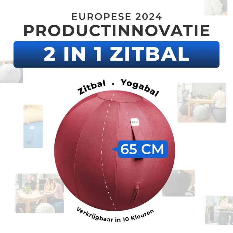 Ergonomische Zitbal Kantoor