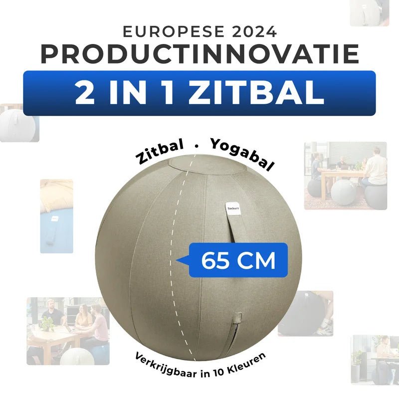 Ergonomische Zitbal Kantoor