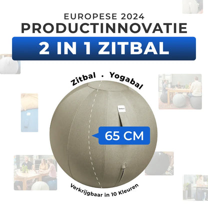 Ergonomische Zitbal Kantoor