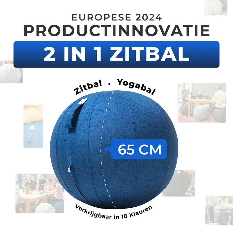 Ergonomische Zitbal Kantoor
