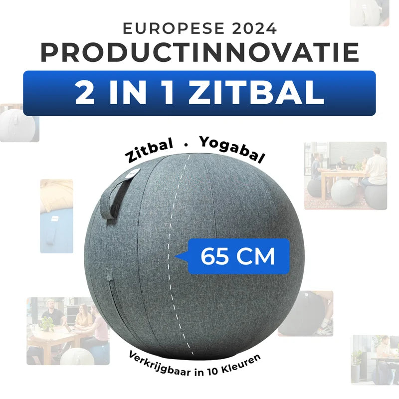 Ergonomische Zitbal Kantoor