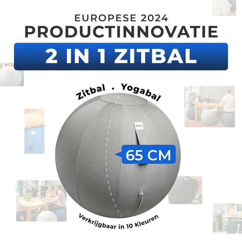 Ergonomische Zitbal Kantoor