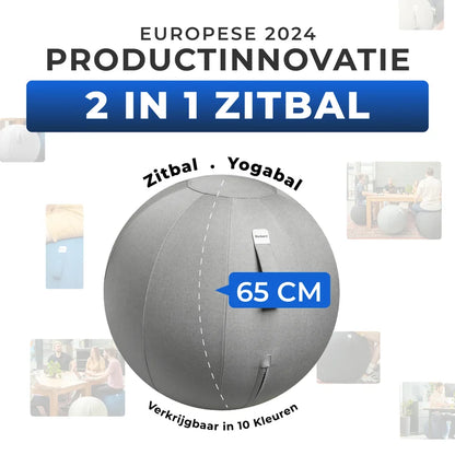 Ergonomische Zitbal Kantoor