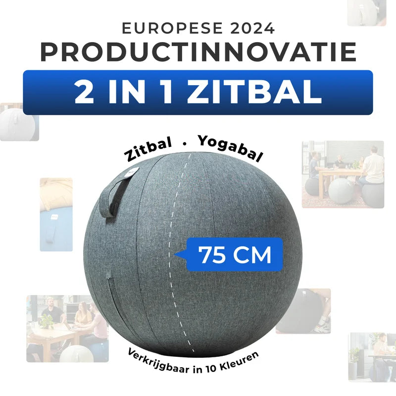 Ergonomische Zitbal Kantoor
