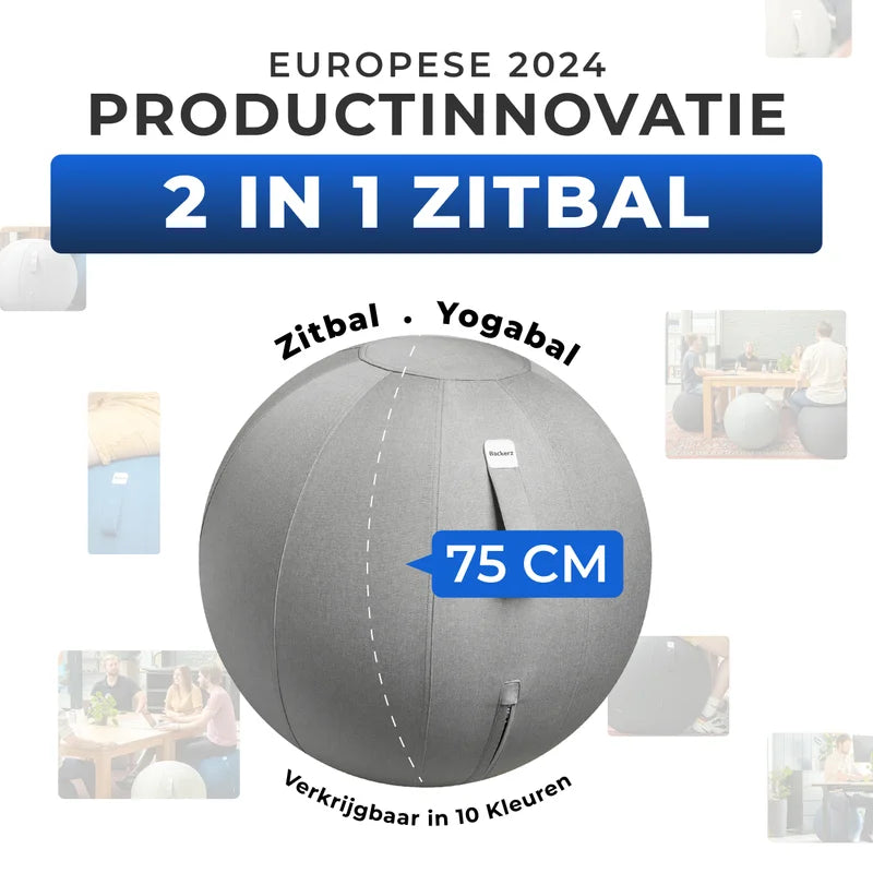 Ergonomische Zitbal Kantoor