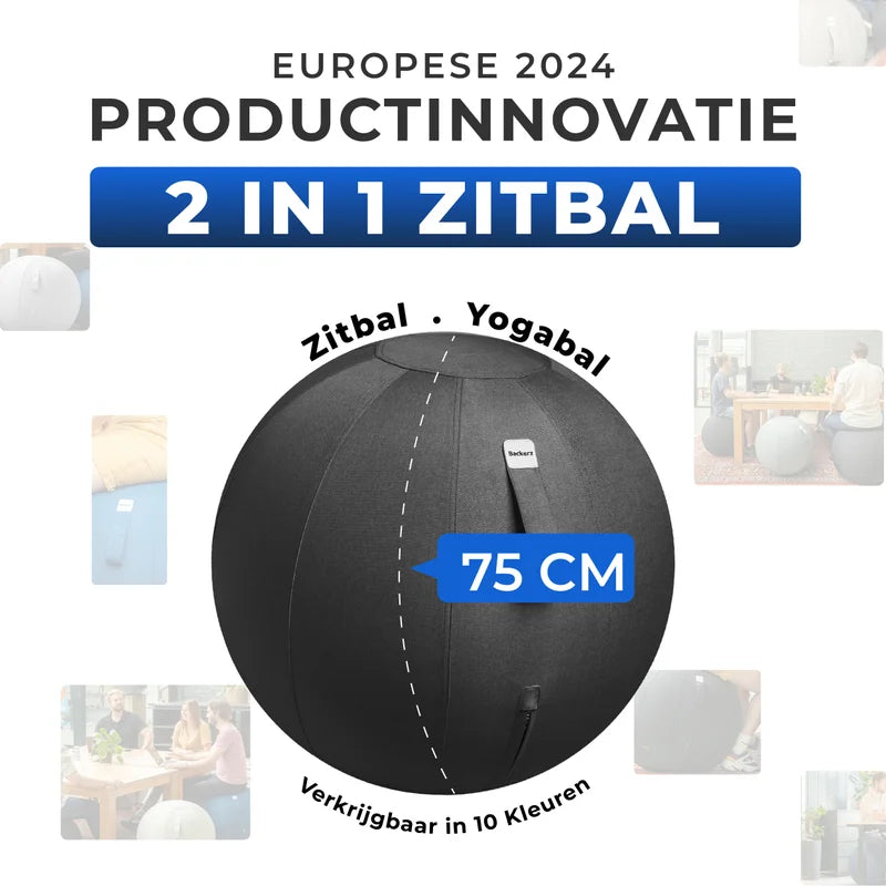 Ergonomische Zitbal Kantoor