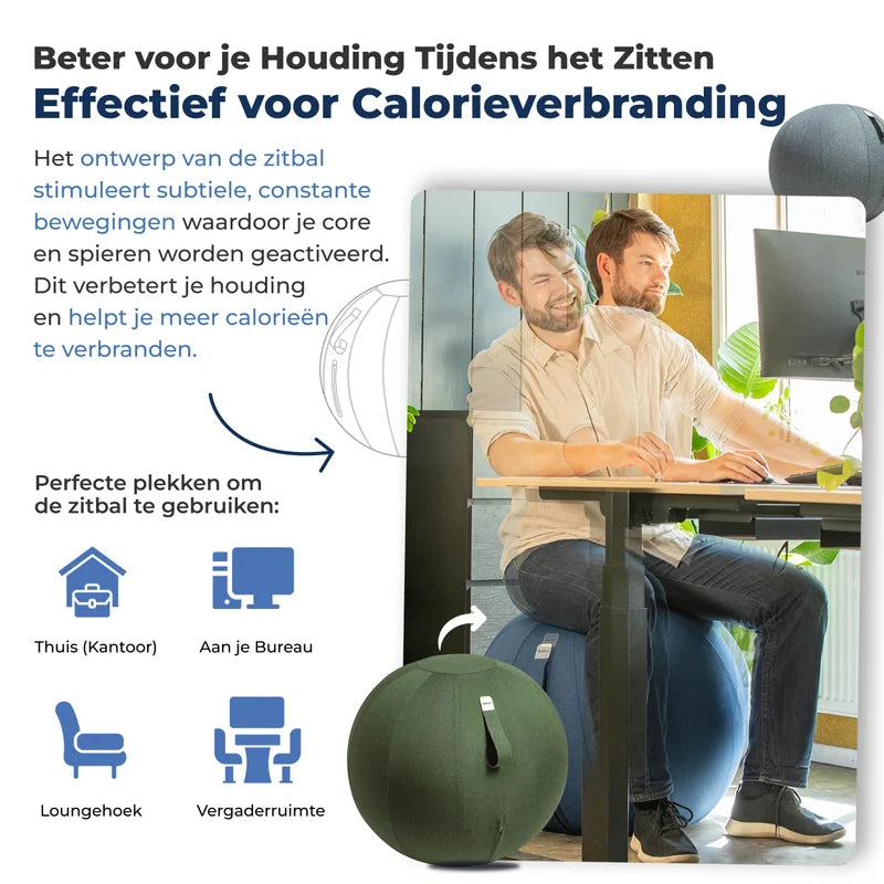 Ergonomische Zitbal Kantoor