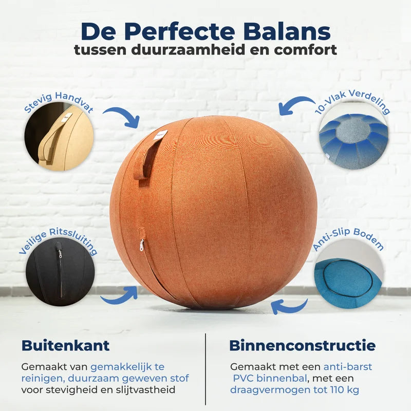 Ergonomische Zitbal Kantoor