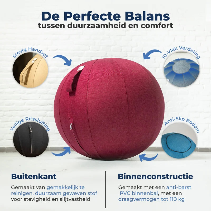 Ergonomische Zitbal Kantoor